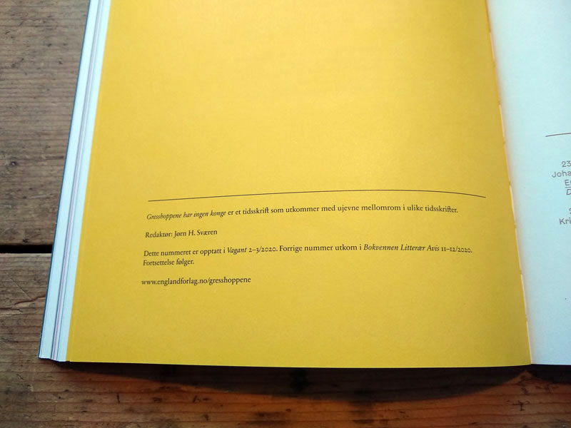 <cite>Gresshoppene har ingen konge</cite> 3, 14 pages, included in <cite>Vagant</cite> 2–3/2020</a>, with texts by Beata Berggren and Jenny Tunedal
