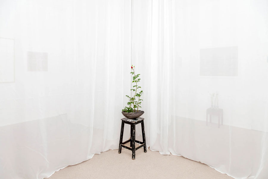 <cite>Ma – entre les lignes –</cite>, Yvon Lambert, Paris, 2025 © Yvon Lambert